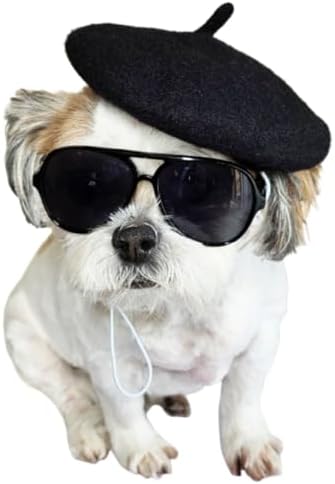 C18 Dog Pet Costume Set Retro Sunglasses Glasses + Beret hat Adjustable for Small-Medium Breeds Approximately 15-40 lbs Party Prop Cosplay Photoshoot (Aviator Black + Black Beret Hat)