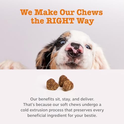 Zesty Paws Chew No Poo Bites for Dogs - Coprophagia Relief - Stool Eating Deterrent Soft Chews for Dogs - Gut, Periodontal & Immune System Support with Probiotics - Chicken - 90 Ct (Pack of 2)