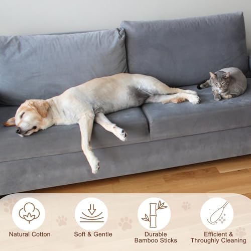 eyxformula Dog Ear Cleaning Swabs, 2 Size Cotton Tips, 100 Long & 100 Large
