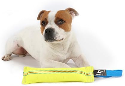 Dog Bite Tug Toy 12 inches - Durable, Interactive Toys for Medium to Large Dogs - Perfect for Tug of War, Fetch & Puppy Training - Safe Fire Hose Dog Tug with Strong Handle - Tough Floating Pull Toy