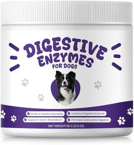 Digestive Enzymes for Dogs, Kibble Digestion & Pancreatic Enzyme Powder