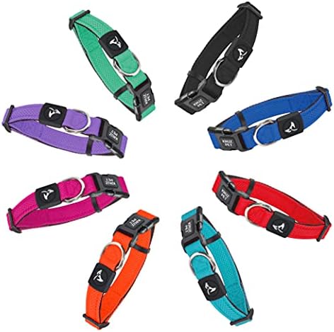 Dog Collar for Small Dogs (Width- 5/8", Neck - 8"-12") | Adjustable Padded Black Dog Collar with Heavy Duty D-Ring | Soft Comfortable Fit for Small Dogs | Black, X-Small