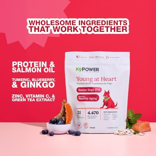 K9Power Young at Heart – Senior Dog Supplement for Longevity & Vitality – Supports Joints, Brain, Heart, Digestion, Skin & Energy – Amino Acids, Vitamins, Minerals, CoQ10, Omega 3s, Turmeric