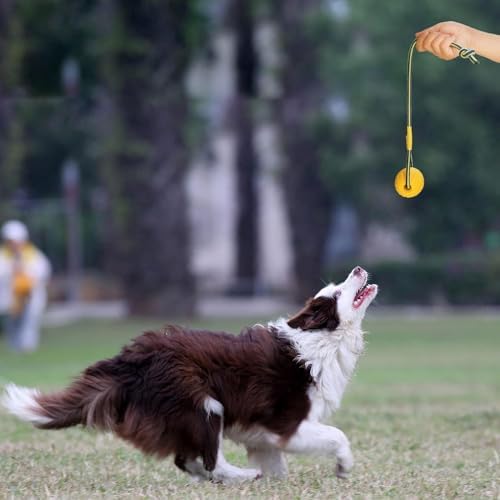 2 Pack Ball with Rope Dog Toy,Fling Dura Foam Toy,Dog Water Float Ball Rraining Boall on Rope (2 Pieces 7cm/2.8")