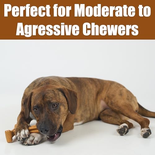 SPOT Bam-Bones Plus T Bone - Bamboo Fiber & Nylon, Durable Long Lasting Dog Chew for Aggressive Chewers – Toy for Dogs & Puppies Under 60lbs, Non-Splintering, 6in, Allergen Free Peanut Butter Flavor