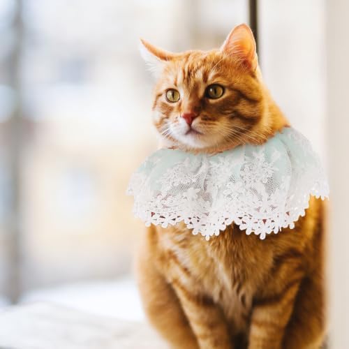 Pet Cat Lace Necklace with Pearls Adjustable Blue Neckwear