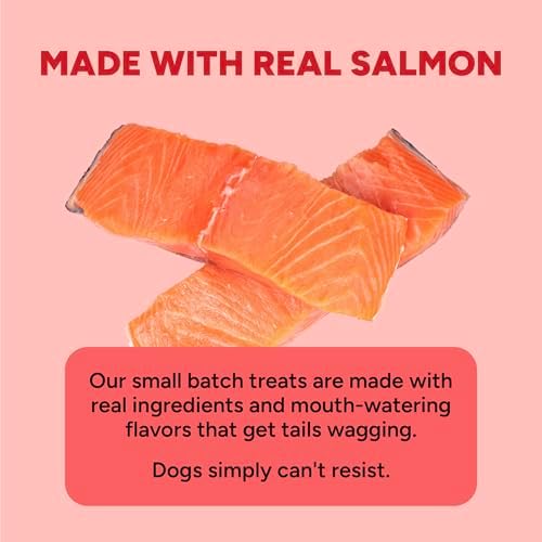 Cloud Star Dynamo Dog Skin & Coat Soft Chews Grain Free Dog Treats, Salmon, 14 oz. Pouch
