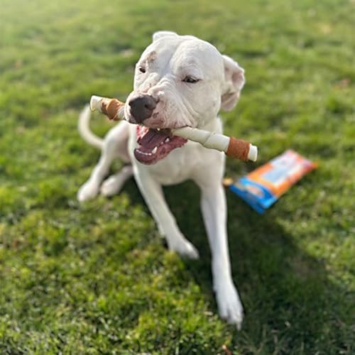 Cadet Gourmet Shish Kabob Dog Chews for Large Breeds, Rawhide Treats For Dogs with Chicken and Sweet Potato, Healthy & Natural Beef Hide, 10-Inch Sticks, 8 Count