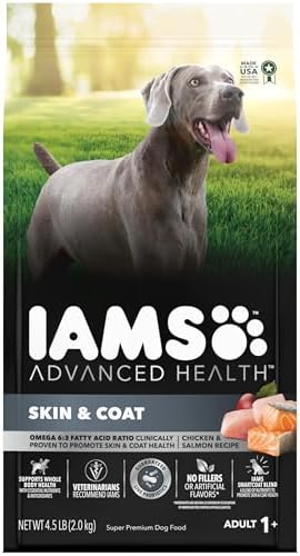 IAMS Advanced Health Skin & Coat Dry Dog Food, Chicken & Salmon, 4.5 lb