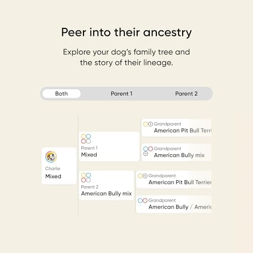 Embark Breed & Health Dog DNA Test – 400+ Breeds, 270+ Health Risks