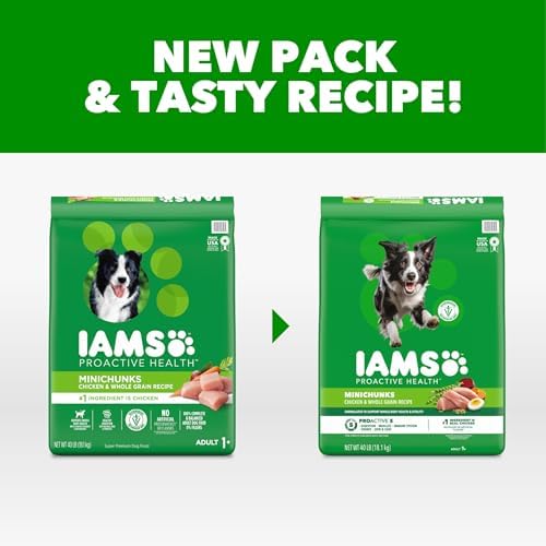 IAMS Proactive Health Adult Minichunks Dry Dog Food, Chicken, 40 lb