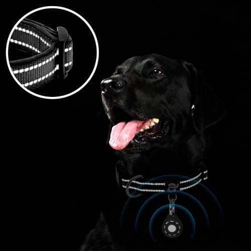 azuza Airtag Dog Collar, Medium Dog Collar with Airtag Holder, Black, M