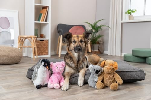 TRIXIE Be Eco Enno The Dog Plush Dog Toy for All Dogs, 16" Fun and Cuddly No Sound Dog Toy, 98% Recycle Material