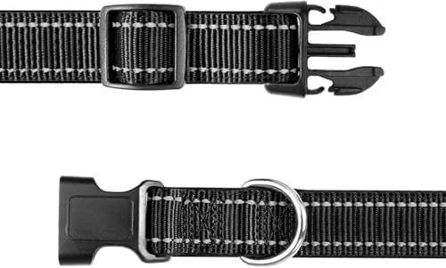 Aikko 2-Pack Replacement Straps for GPS Dog Shock Collar, Purple & Green