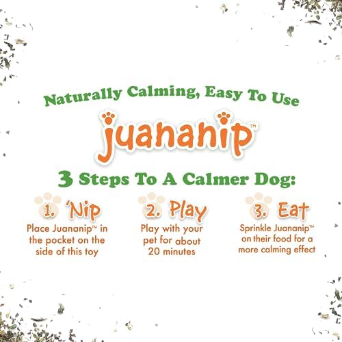 Doggijuana Squirrel & Juananip Bundle | Squeaky Refillable Plush Toy