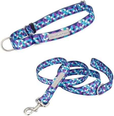 Lucky Love Dog Martingale Collar & Leash Set No Slip Cute – Jasper, Small