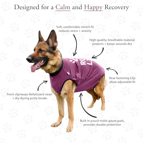 BellyGuard Dog Surgery Recovery Suit, Male Female After Spay Neuter Onesie