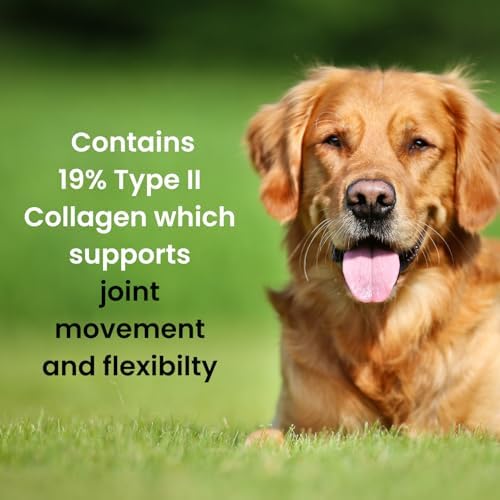Hofseth BioCare Brilliant Bone & Joint Supplement for Dogs - High Strength Calcium & Collagen Powder for Joint & Hip Support, Essential Supplement for Dog’s of All Ages - 10.6 Oz