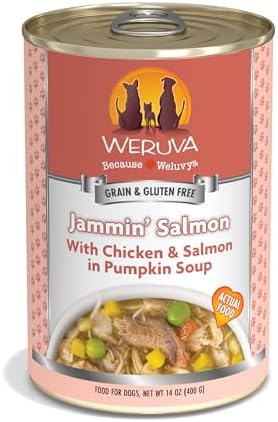 Weruva Classic Dog Food, Jammin' Salmon with Chicken & Salmon in Gravy, 14oz Can (Pack of 12)