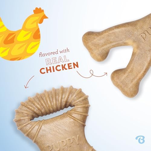 Benebone Puppy 2-Pack Dental/Wishbone Dog Chew Toys, Real Chicken, Tiny