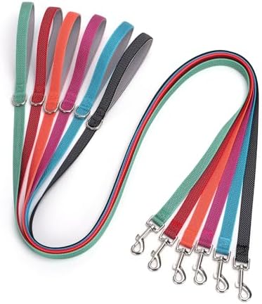 Personalized Reflective Nylon Dog Collar with Name, Blue