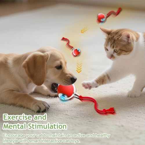 Jiexily Interactive Cat Toys Balls for Indoor Cats, 2025 New Motion Activated Cat Balls with 360° Smart Automatic Rolling Moving for Bored Kitten Pet Cats Dogs (Gray)