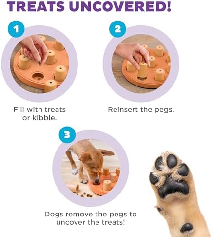 Outward Hound by Nina Ottosson Dog Smart Treat Puzzle Enrichment Toy, Level 1 Beginner, Orange, Composite