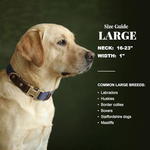 Personalized PU Leather Dog Collars, Quick Release Buckle, Blue,L
