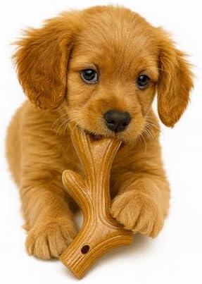 Jalousie Multipack Dog Squeaky Toys Bulk Bundle Pup Toy - Puppy Toys for Pets for Small Medium Breed (30 PCs Gift Basket)