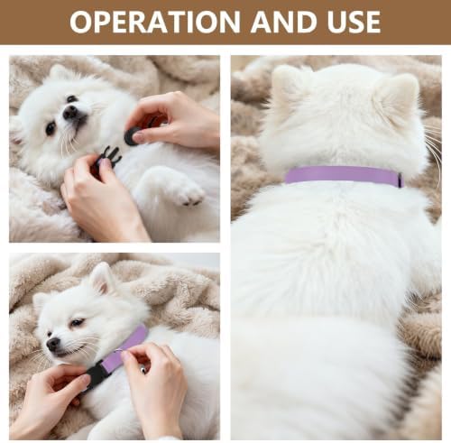 Girly Purple and Blue Ombre Easy to Clean Pet Collars 2 Pack Pet Collars for Cats