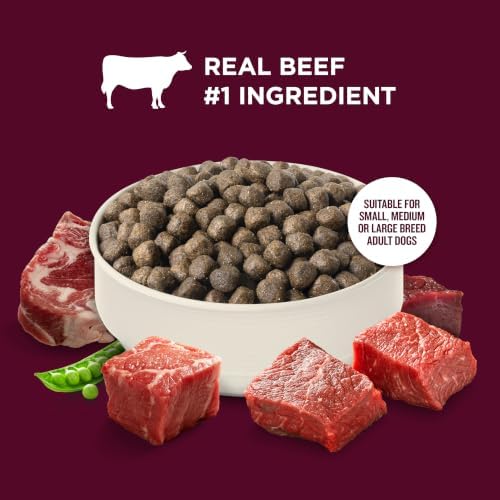 Nutrish High Protein Dry Dog Food, 4 lb. Bag (Rachael Ray)