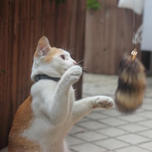 Fosrion Real Raccoon Tail Fur Cat Bites Toy with Three Section Retractable Carbon Fiber Rod (Raccoon, Only Tail)