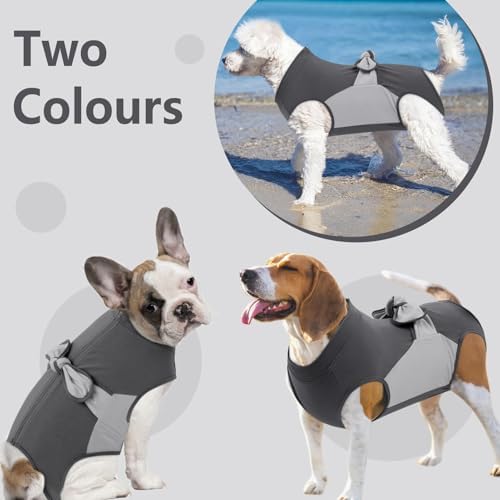 SAWMONG Dog Recovery Suit Male, Cotton Zipper Recovery Suit for Dogs, Dog Onesie for Surgery Female Neuter Bodysuit Prevent Licking Wounds Male, Substitute E-Collar & Cone(Gray, Small)