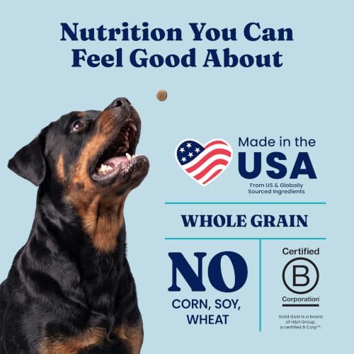 Solid Gold, Hund-N-Flocken, Dog Food Dry with Lamb, Rice and Omega 3 Fish Oil for Dogs, Probiotics, 12 LB