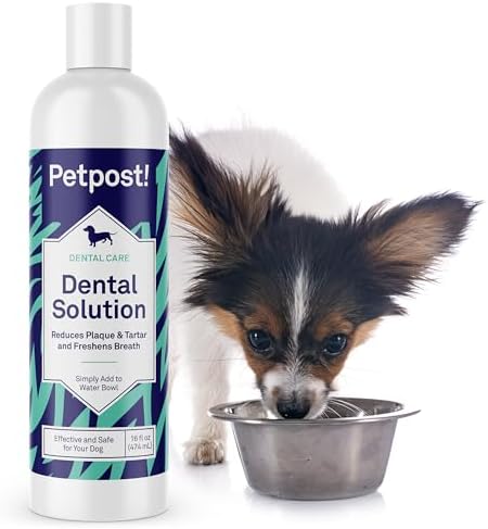 Petpost | Dental Solution for Dogs - Water Additive that Eliminates Bad Breath - Dirt, Gunk, and Tooth Buildup Gone - Natural Tooth Cleaning Solution 16 oz.