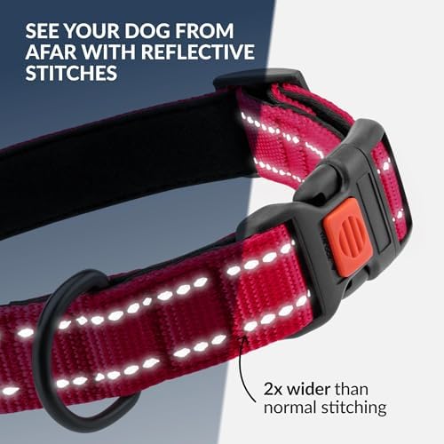 Reflective Dog Collar, Quick-Release Buckle (Pink, 10-13 Inch)