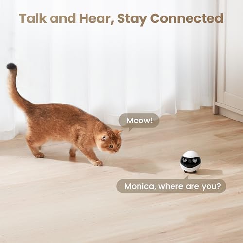 Enabot EBO Air 2 Mobile Pet Camera Robot: 2K FamilyBot with Two-Way Talk