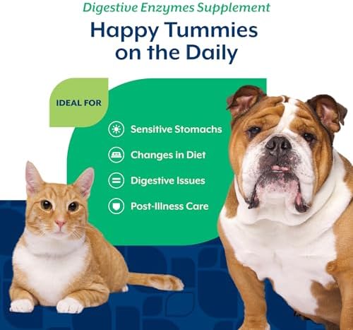 NaturVet Digestive Enzymes with Pre & Probiotic for Dogs & Cats - 4 oz