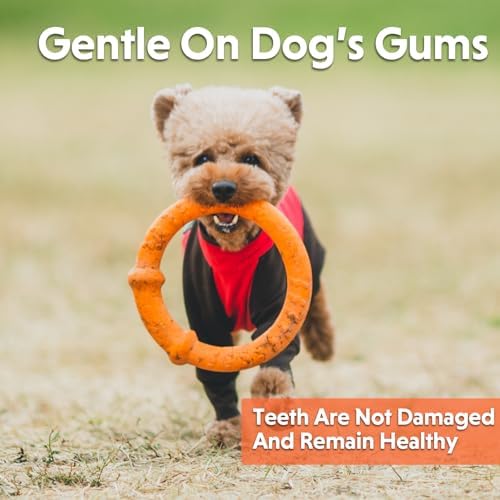 LaRoo Dog Chew Ring Toy for Small Dogs, Durable EVA Floating Puppy Teething Chew Toy, Interactive Tug of War Fetch Toy for Dental Cleaning & Outdoor Play (Orange)