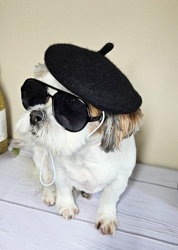 C18 Dog Pet Costume Set Retro Sunglasses Glasses + Beret hat Adjustable for Small-Medium Breeds Approximately 15-40 lbs Party Prop Cosplay Photoshoot (Aviator Black + Black Beret Hat)