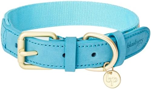 Blueberry Pet 3 Patterns Southwestern Magical Tribal Print Genuine Leather & Polyester Fabric Combo Dog Collar with Metal Buckle - Celeste Blue, Medium, Neck 15"-18"