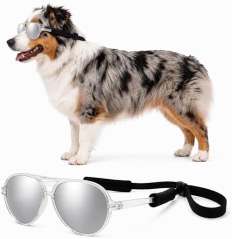 G010 Dog Pet Costume Aviator Sunglasses for Medium Breeds 18-40 lbs (2-Pack Black + Clear-Mirror, uv400)