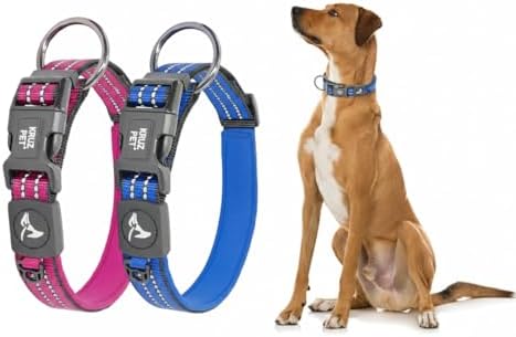 Dog Collar Bundle for Medium Dogs (Width- 3/4", Length - 17"-21.5") | Reflective Adjustable Raspberry Pink, & Blue Dog Collar | No-Choke Vest with Lightweight Reflective Air Mesh