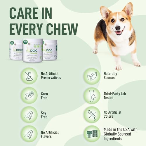 Probiotics for Dogs – 120 Soft Chews, Bacon Flavor | Digestive Enzymes, Gut Health & Immune Support with Pumpkin Seed & Ginger | for All Breeds