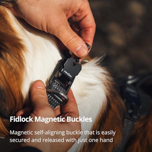 Ruffwear, Ridgeline Dog Collar, Magnetic Buckle, Obsidian Black, 11"-14"