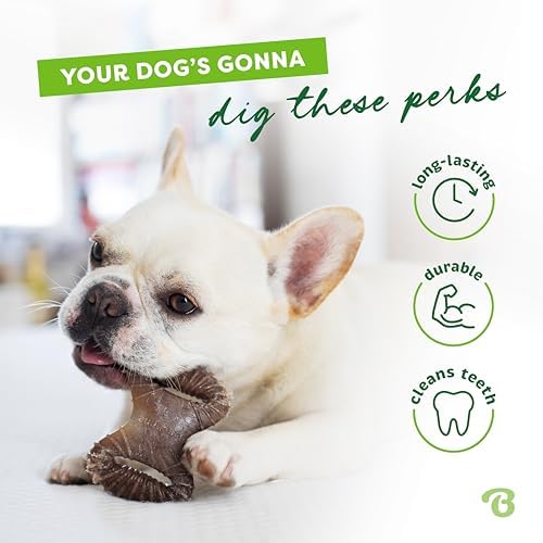 Benebone Tiny 2-Pack Dog Chew Toys, Real Bacon
