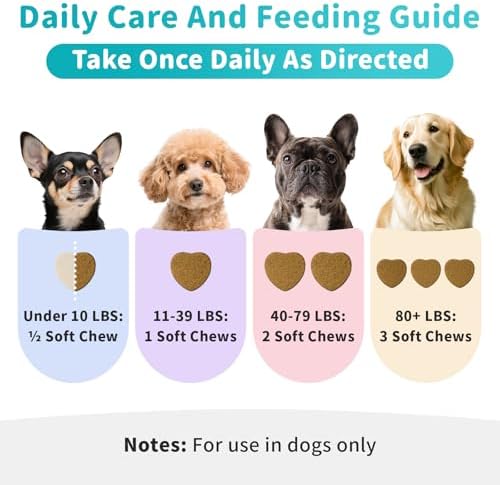 Dog Allergy Relief Soft Chews - Skin & Gut Health, Beef, 90 Count