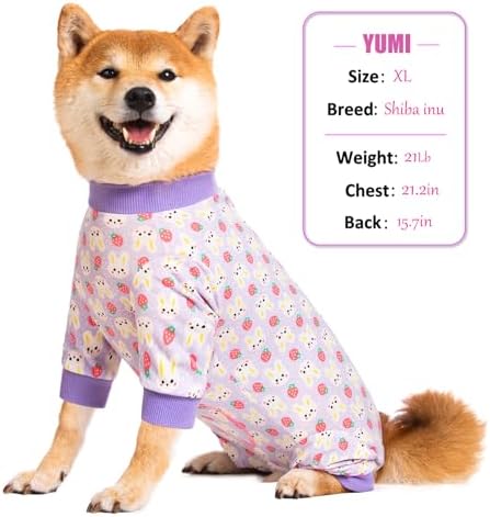 Dog Recovery Suit for Small Medium Large Dogs, Pet Onesie After Surgery Comfort Dog Bodysuit Anti Licking (Purple Bunny,XL)