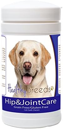 Healthy Breeds Labrador Retriever Hip and Joint Care 120 Count
