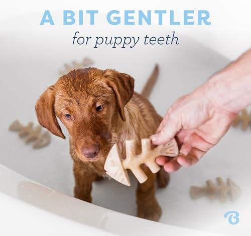 Benebone Puppy 4-Pack Dog Chew Toys for Gentle Chewers, Dog Bones, Small